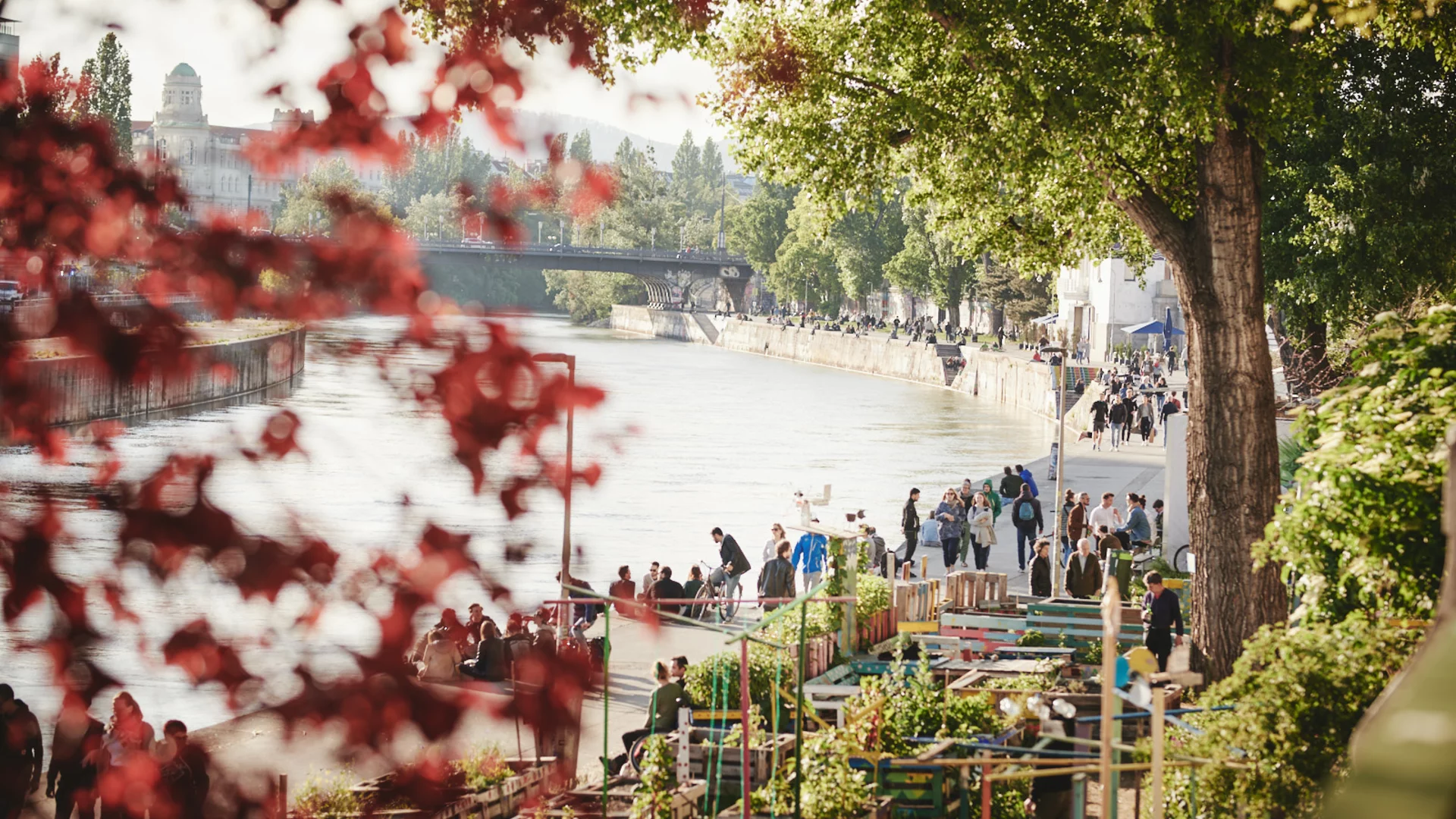 Donaukanal im Herbst | © BASSENA Hotels